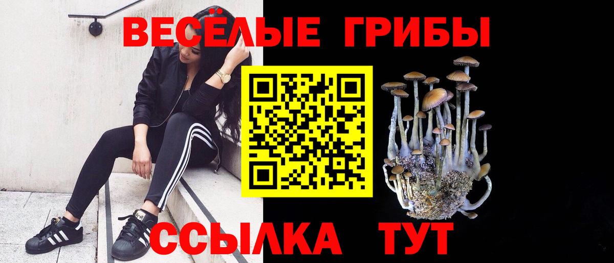 Реутов  хочу наркоту  Вход с VPN  Галлюциногенные грибы ЛСД 