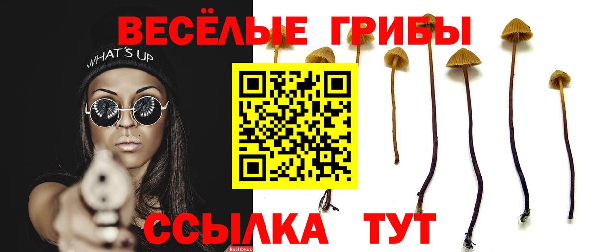Галлюциногенные грибы Cubensis Реутов